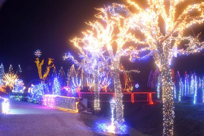 1.2 Million Christmas Lights (12 pics)