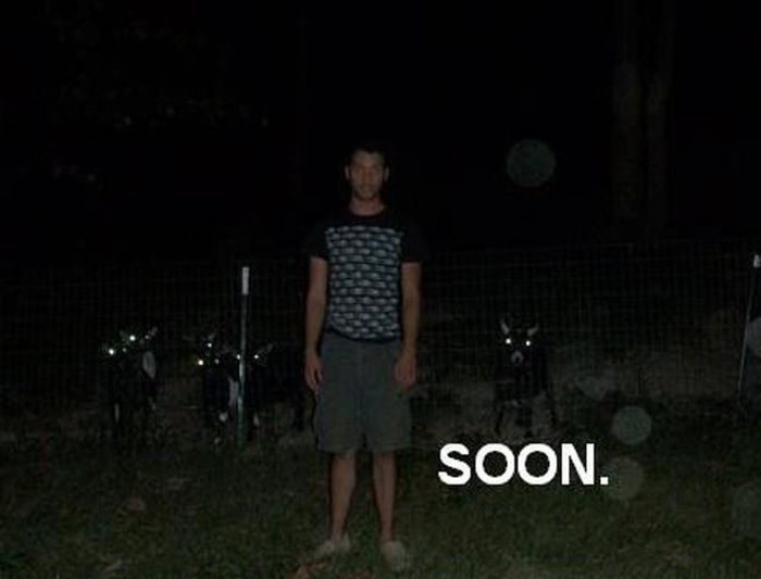 Acid Picdump (111 pics)