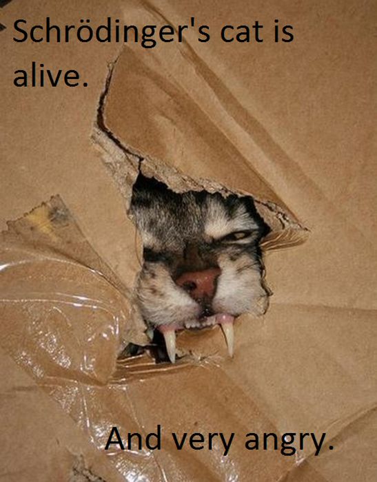 Acid Picdump (111 pics)