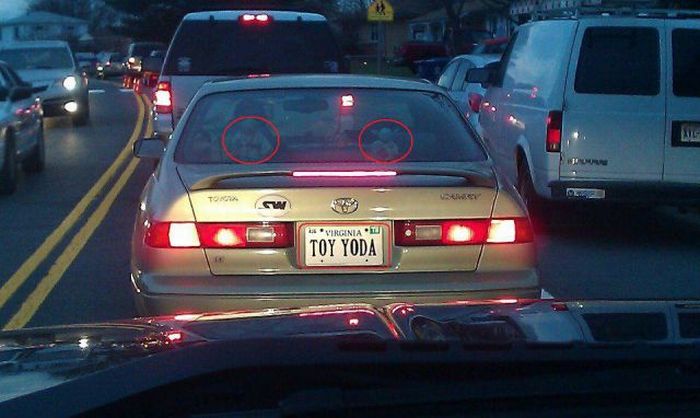 Acid Picdump (111 pics)
