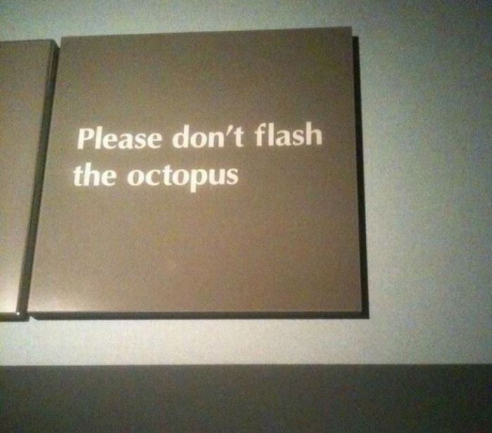 Acid Picdump (111 pics)