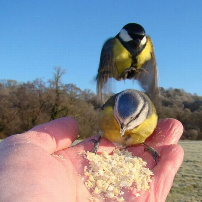 Acid Picdump (111 pics)