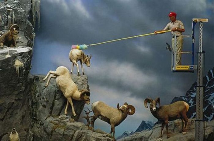Acid Picdump (111 pics)