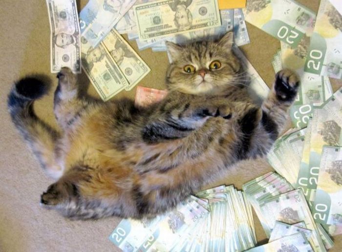 Acid Picdump (111 pics)