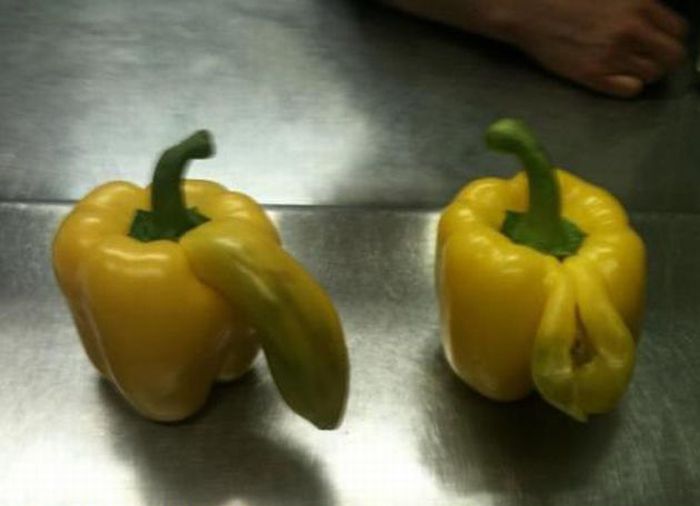 Acid Picdump (111 pics)