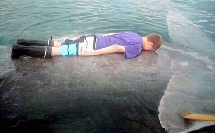 The Most Extreme Planking Moments (38 pics)