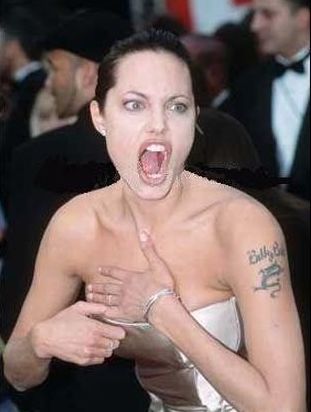 Funny Faces of Angelina Jolie (79 pics)