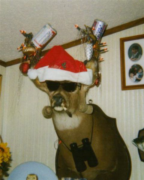 Redneck's Christmas (33 pics)