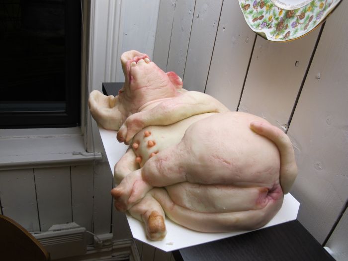 Evil Pig for Christmas (24 pics)