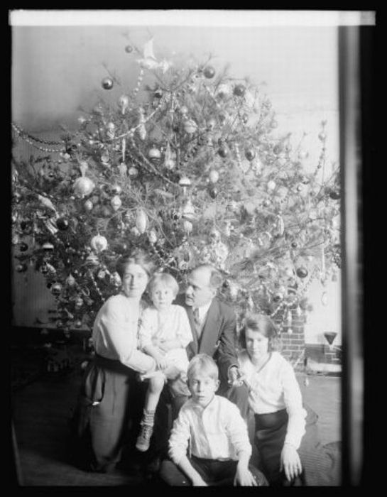 Vintage Christmas (30 pics)