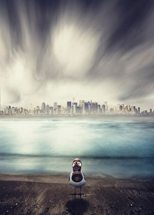 Thought-Provoking Images about Global Warming (39 pics)