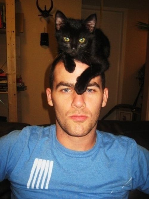 Cat Hats (40 pics)