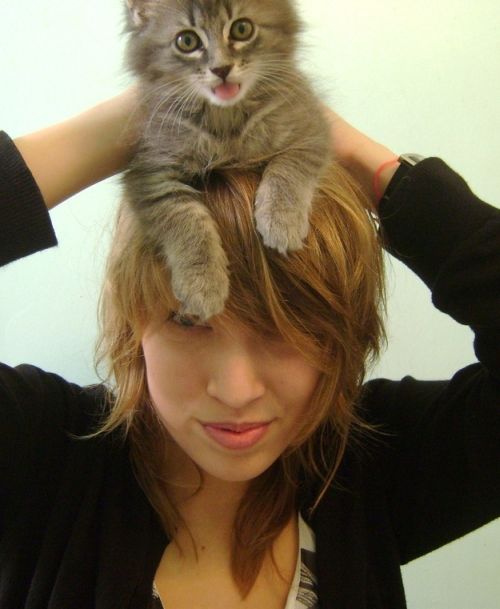 Cat Hats (40 pics)