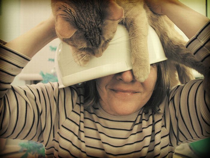 Cat Hats (40 pics)