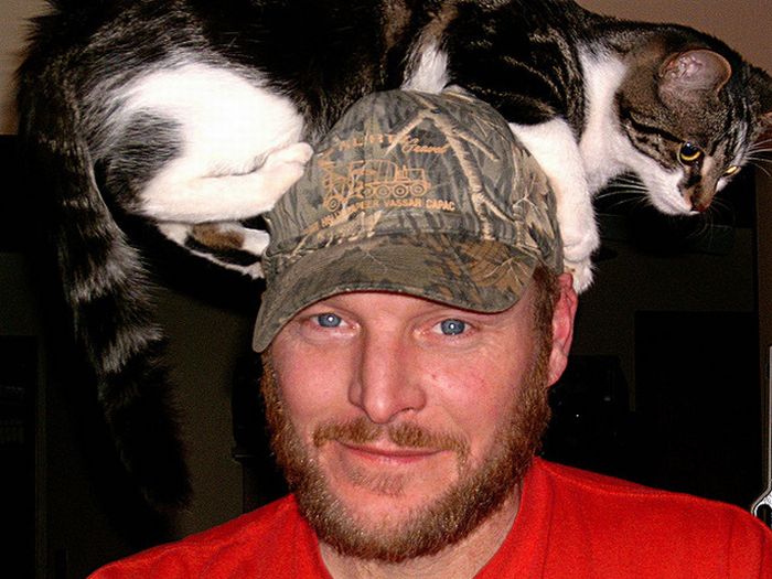 Cat Hats (40 pics)