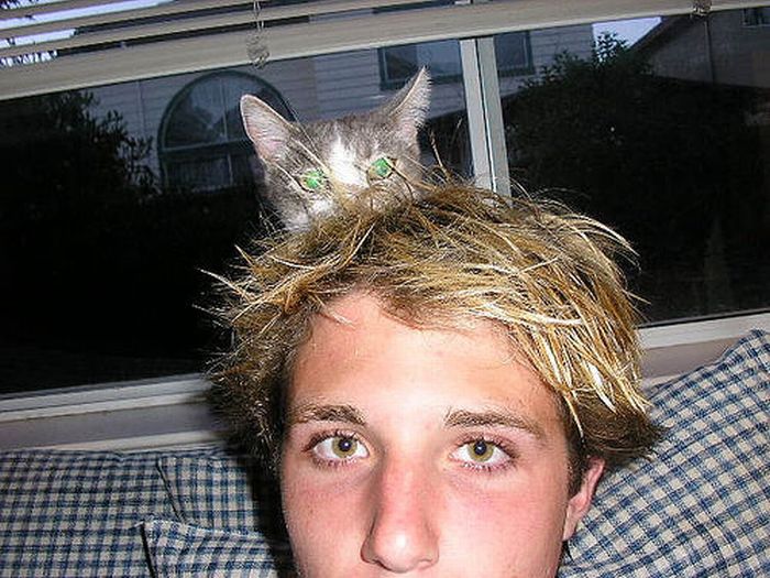 Cat Hats (40 pics)