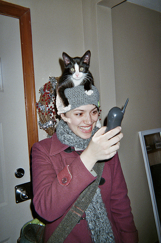 Cat Hats (40 pics)