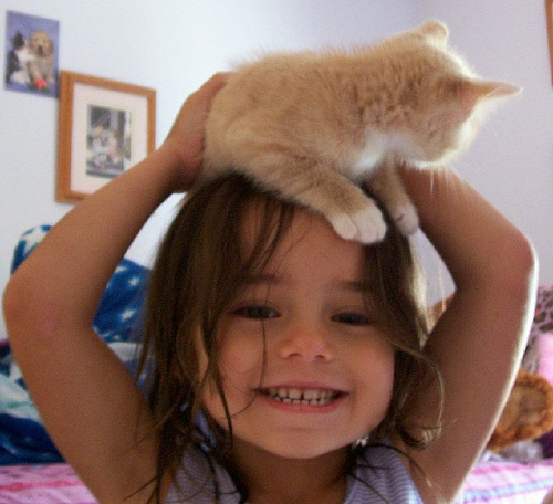 Cat Hats (40 pics)