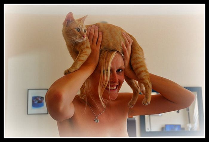 Cat Hats (40 pics)