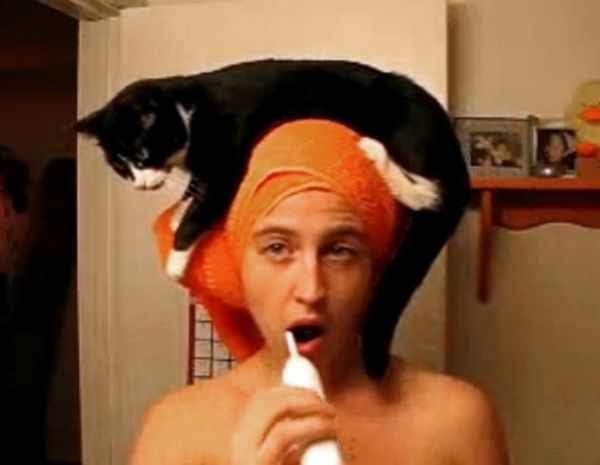 Cat Hats (40 pics)