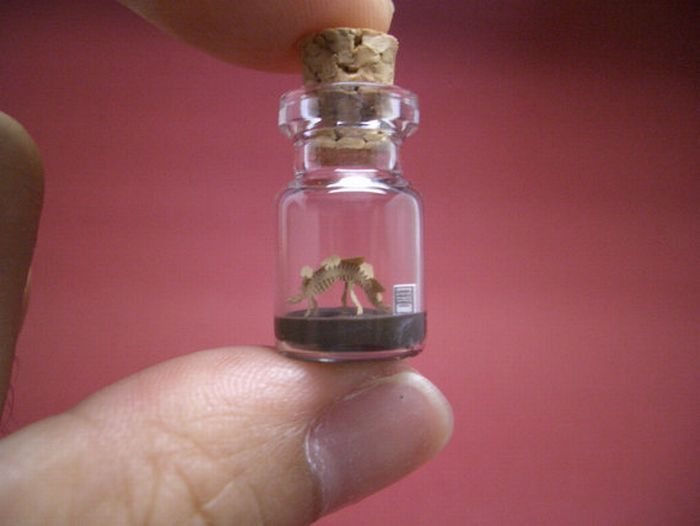 Tiny World In A Bottle (27 pics)