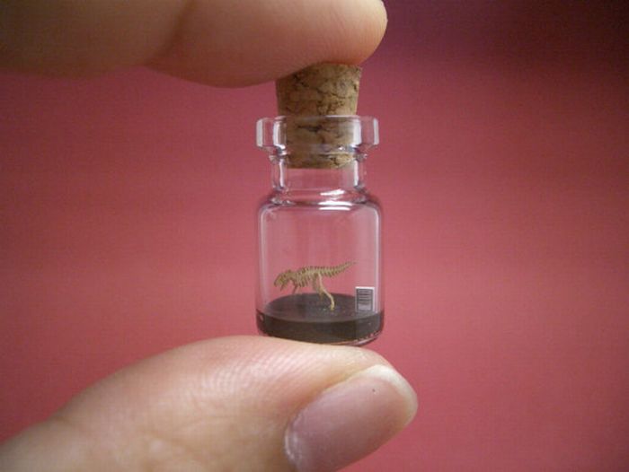 Tiny World In A Bottle (27 pics)