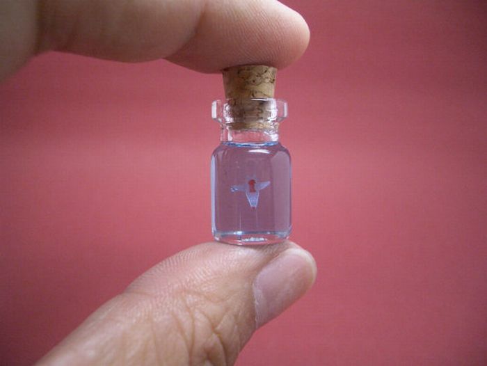 Tiny World In A Bottle (27 pics)