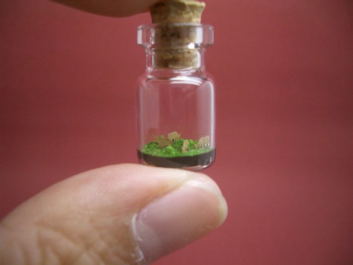 Tiny World In A Bottle (27 pics)