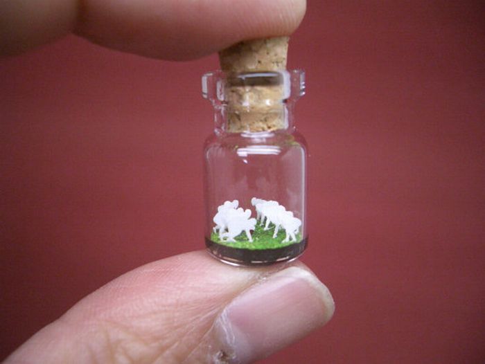 Tiny World In A Bottle (27 pics)