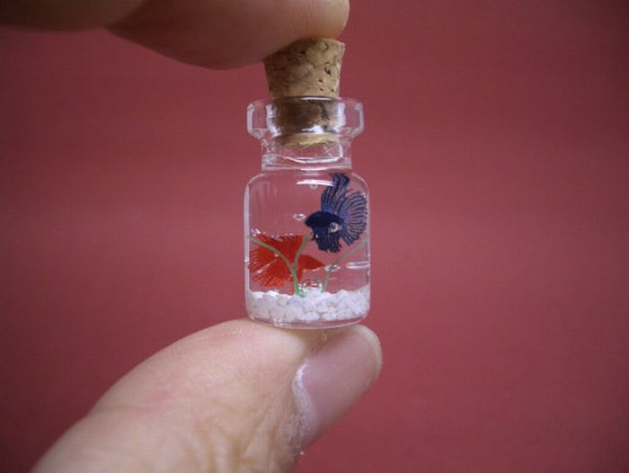 Tiny World In A Bottle (27 pics)