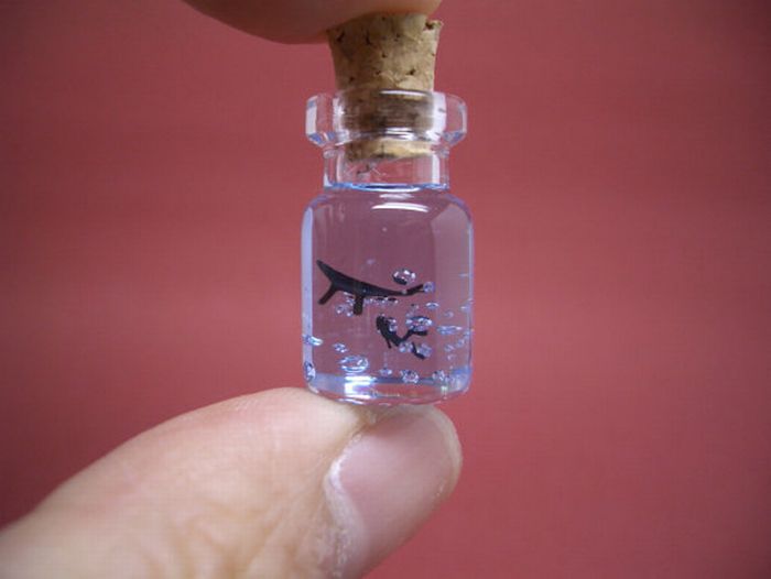 Tiny World In A Bottle (27 pics)