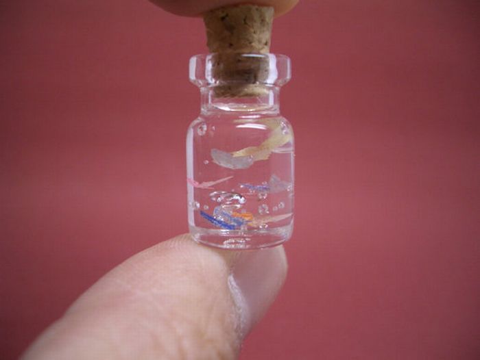 Tiny World In A Bottle (27 pics)