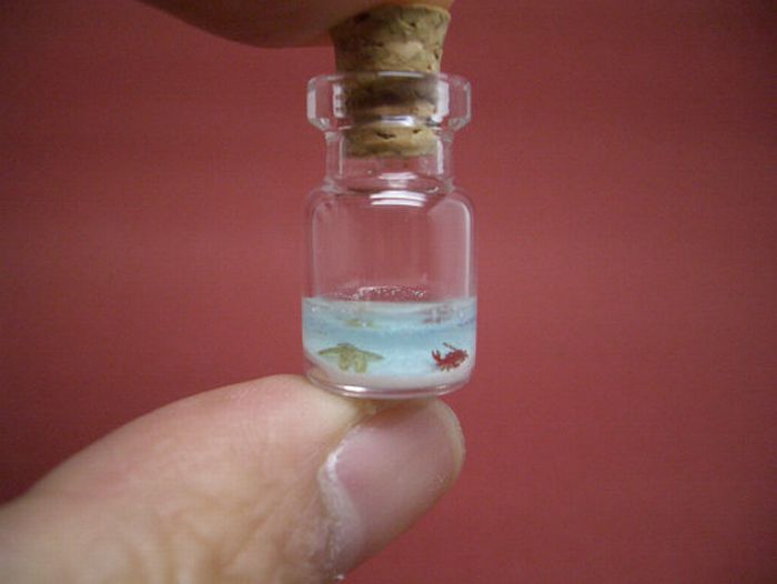 Tiny World In A Bottle (27 pics)