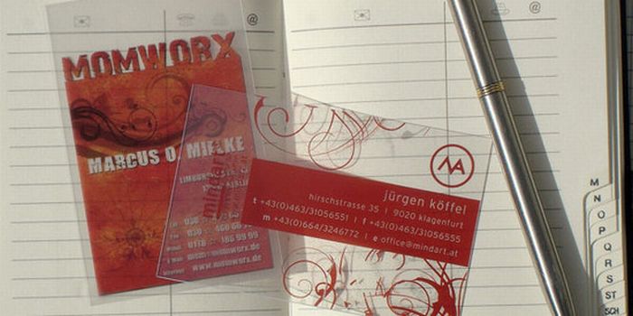 Transparent Business Cards (40 pics)