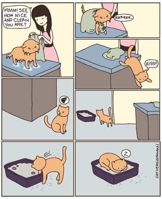 The Funniest Comic Strips of 2011 (60 pics)
