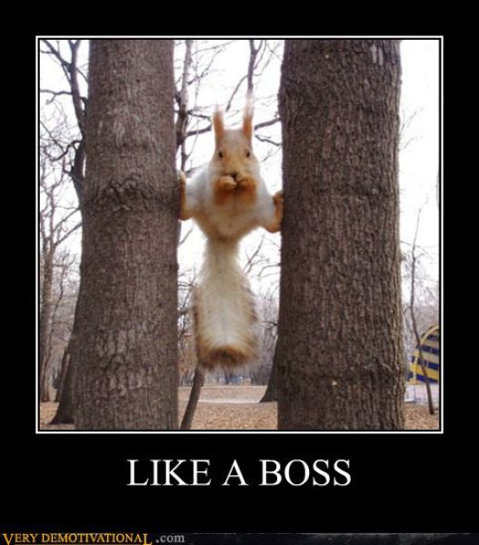 Funny Demotivational Posters (32 pics)