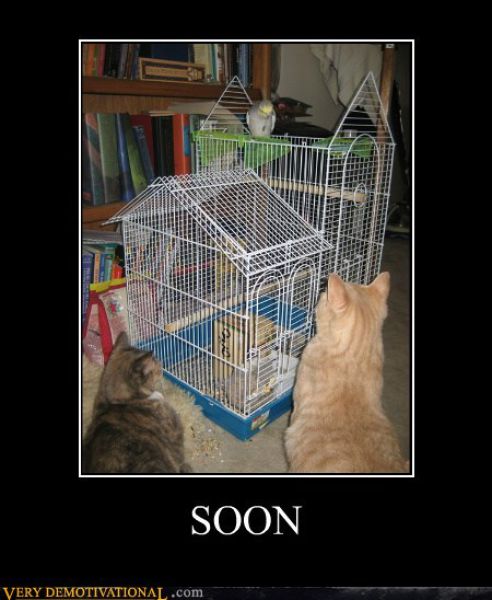 Funny Demotivational Posters (32 pics)