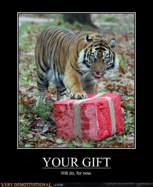 Funny Demotivational Posters (32 pics)