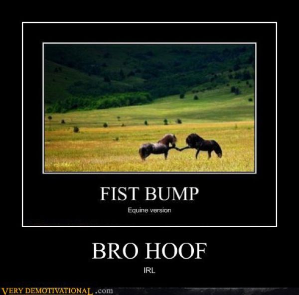 Funny Demotivational Posters (32 pics)