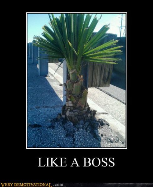Funny Demotivational Posters (32 pics)