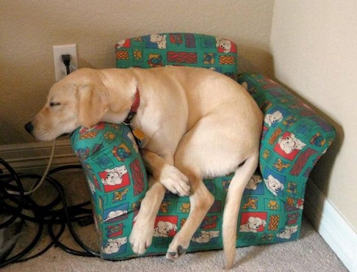 Acid Picdump (120 pics)