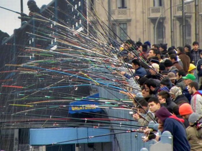 Acid Picdump (120 pics)