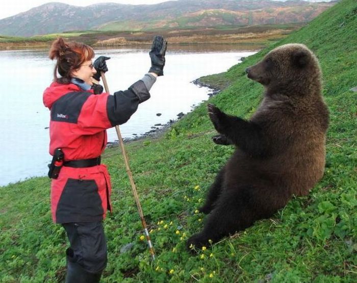 Acid Picdump (120 pics)