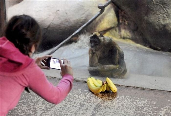 Acid Picdump (120 pics)
