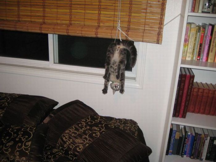 Acid Picdump (120 pics)