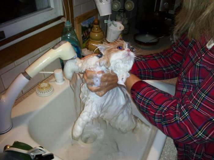 Acid Picdump (120 pics)
