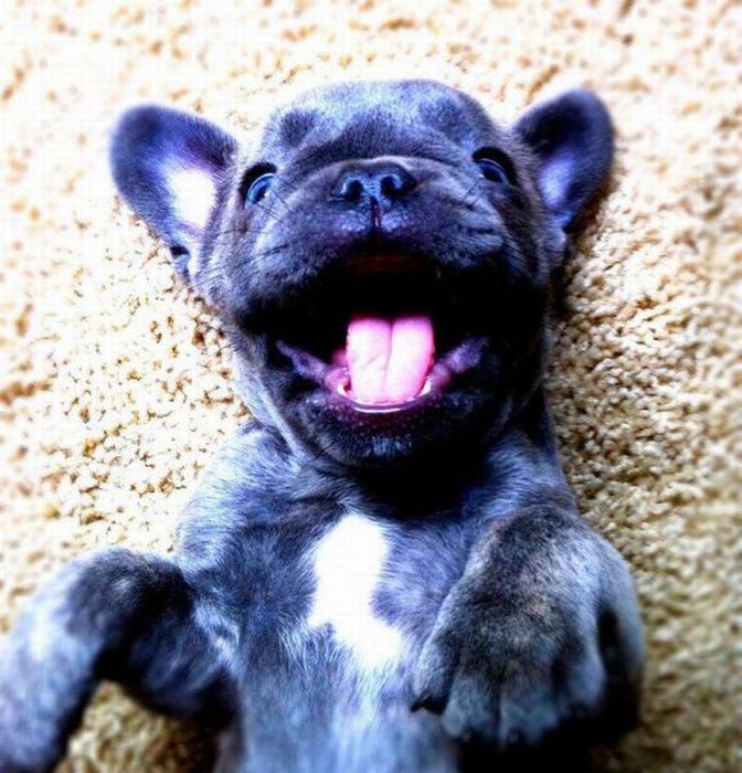 Acid Picdump (120 pics)
