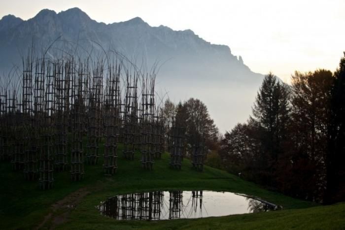 Tree Cathedral by Giuliano Mauri (13 pics)