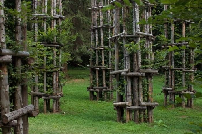 Tree Cathedral by Giuliano Mauri (13 pics)