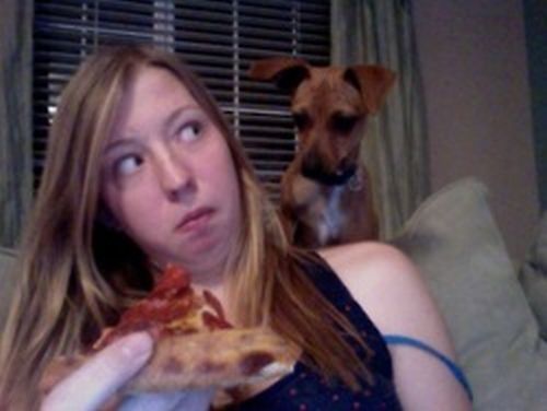 Eating Pizza With Dogs (6 pics)
